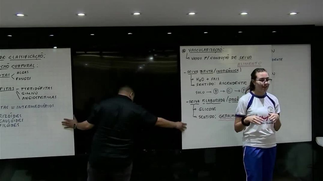 CDia762904ProfHenriquePaiva